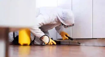 Insect Control Company in Saudi Arabia