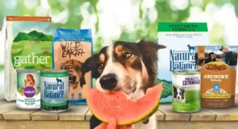 Raw Dog Food Diet: Benefits, Risks, and Feeding Guidelines